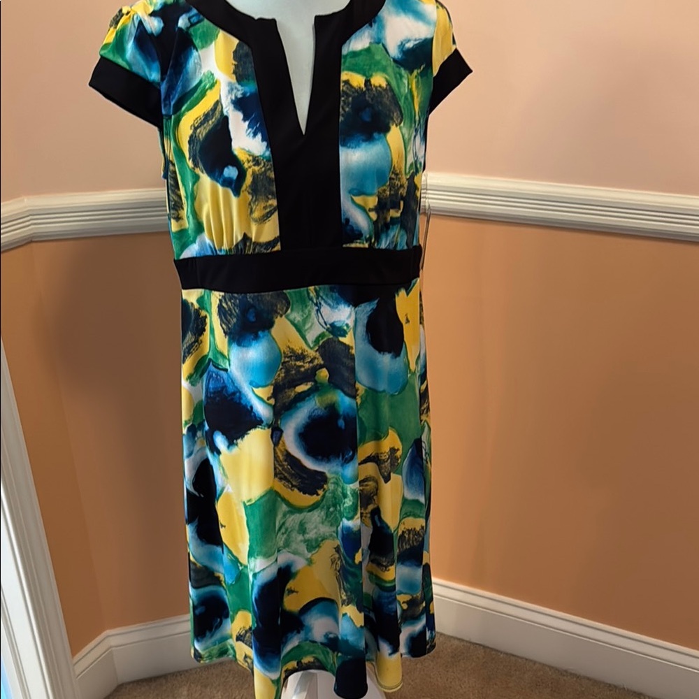 Vibrant Multicolor Dress